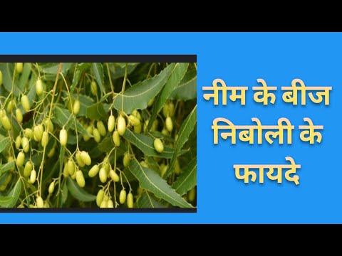 Benefits of Neem