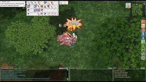 [MvP] Dual Dagger SinX - Eddga | ROPH