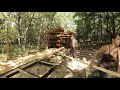 logs milled for a she shed