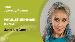 Дриада Лийя «Расщеплённые Лучи. Жизнь в Свете».