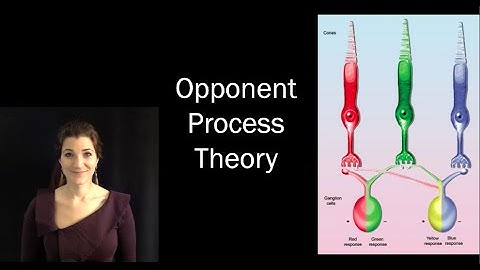 Color! (IDSC250) - Opponent Process Theory I