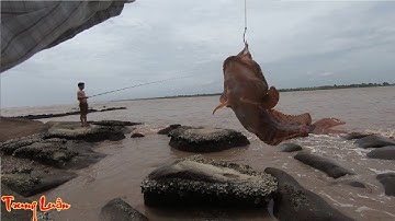 Câu cá ngát dính được cá mao ếch, có mồi nhậu xem world cup 2018 | Fishing