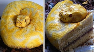 10 Food Combination That Can Ruin Your Health