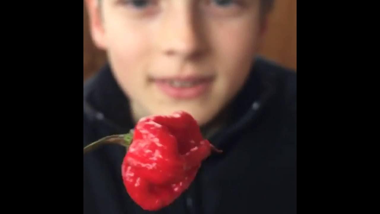 13 year old eats Carolina Reaper Chilli YouTube
