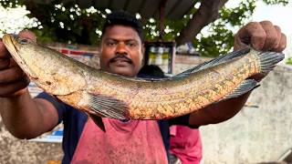 KASIMEDU 🔥 SPEED SELVAM | GIANT CUTTING VIDEO | 4K FISH CUTTING 🔪 | UK SONS MARINE