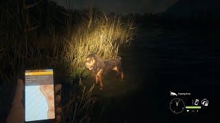 theHunter COTW disappearing elk, dog bug