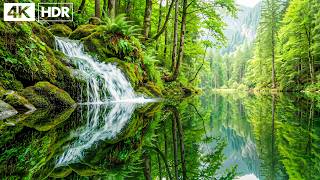 Soothing Relaxation, relaxing music reduces stress and stops thinking too much screenshot 5