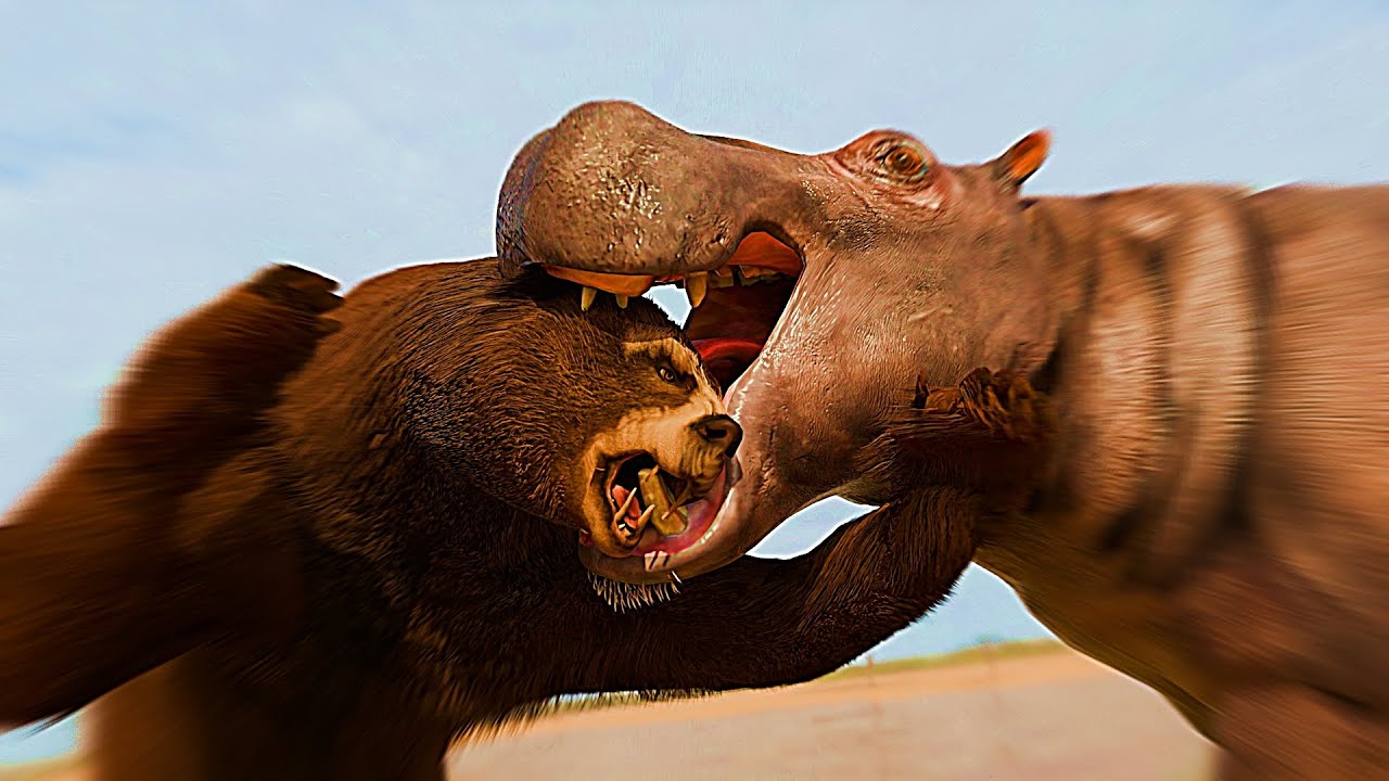 Hippopotamus vs The Giant Short Faced Bear (Arctotherium Angustidens) 