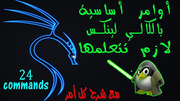أهم الأوامر الأساسية بالكالي لينكس   basic commands kali linux 24 commands