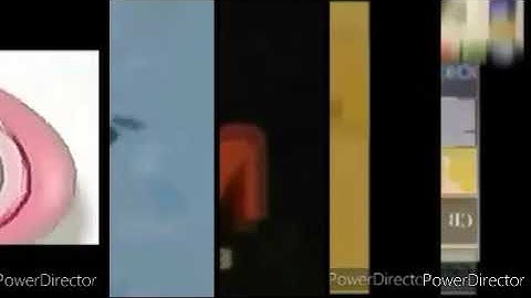 49 Shuric Scans With Are Slides