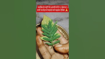 कार्तिक महीने की अष्टमी के दिन 1 बेलपत्र 3 शमी पत्र जरूर चढ़ाए 🙏🙏 #mahadev #pradeepmishrajidhankeupay