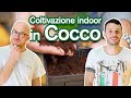 Coltivare in Cocco Indoor - Vantaggi/Svantaggi di questo substrato guida by Garden West