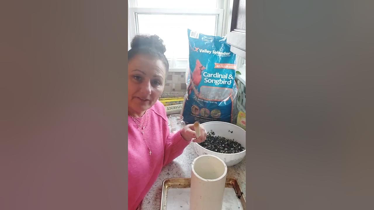 How to make Bird Seed Feeder Logs with knox Gelatin YouTube