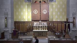 The Women at the Foot of the Cross: Mary's Comfort and Hope in Grief