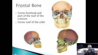 Axial Skeleton Part 2 of 3
