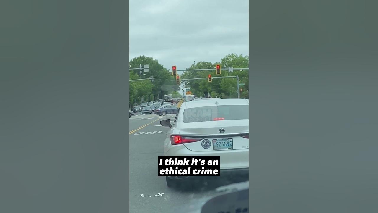 WHY IS DC FULL OF LITTERS washington shorts dashcam drivingfail 
