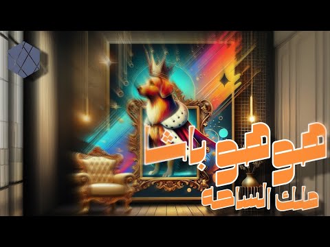       اغنيه هوهو باشا ملك الساحه