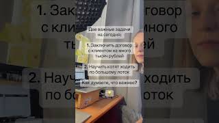картинка: Я думаю, что котята важнее, но мой руководитель вправе иметь другое мнение 🤣