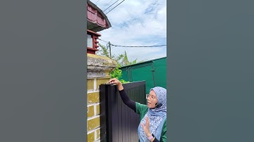 adjustable for gate, easy for maintenance #armygrade