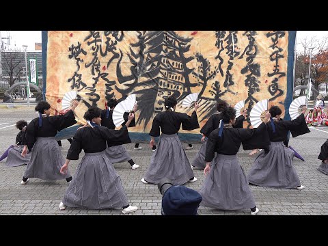 名古屋学生チーム『鯱』 @四日市よさこい祭り(市民公園会場) 2017-11-26T15:30