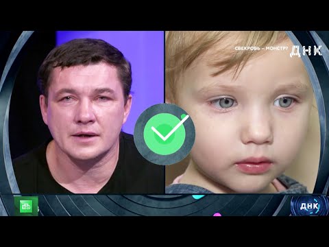 ДНК . Выпуск от 13.08.2025 - «Свекровь — монстр » - Передачи НТВ