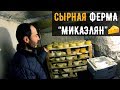 Бизнес в Армянской деревне / Сыроварня