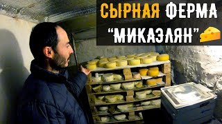 Business in the Armenian Village / Cheese Farm