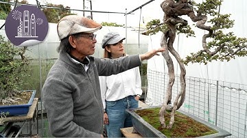 The Works：Lingnan Penjing, Xie Xiaoze@Alisan Atelier & in the studio: Hong Kong Irish Festival