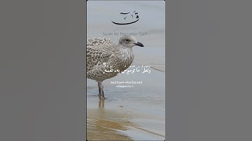 قران كريم | سورة ق للشيخ خالد الجليل