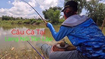 Câu Cá ở Làng Nổi Tân Lập