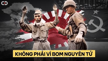 Đây Mới Là Lý Do Thực Sự Khiến Nhật Đầu Hàng Trong Thế Chiến 2?