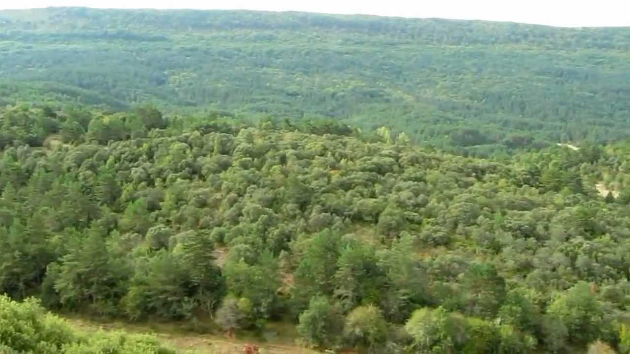 Paisajes de Barcina de Los Montes