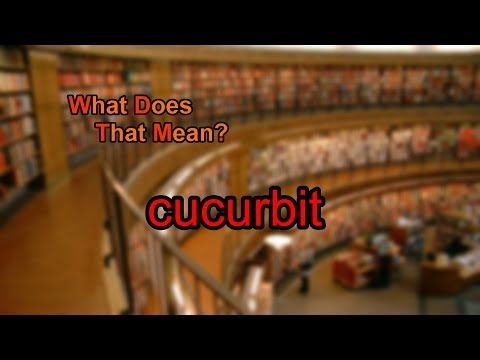 What does cucurbit mean?
