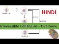 Irreversible Cell Injury overview in Hindi