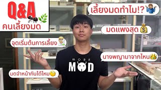 EP 46 [Q&A] คนเลี้ยงมดตอบคำถามเรื่องมดๆ | MORE MOD