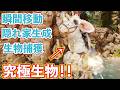 【衝撃】前代未聞の公式チート生物！ブローバックをテイムしろ！！【ARK/ASA】