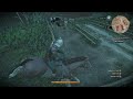 Roach going for a quick fly  the witcher 3  wild hunt