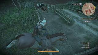 Roach Going For A Quick Fly... - The Witcher 3 Wild Hunt