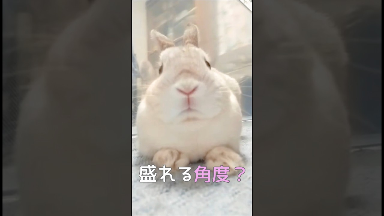 YouTube YouTube