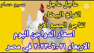 اسعار الفراخ البيضاء اليوم اسعار الدواجن اليوم الاربعاء ٢١-٦-٢٠٢٣ في مصر