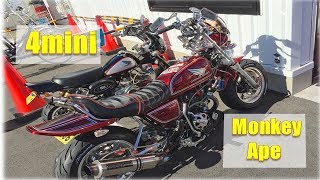 【4mini】Monkey ★ Ape 【JPN style】