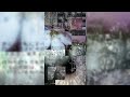 Che - Rest in Bass Teaser (Extended Snippet)