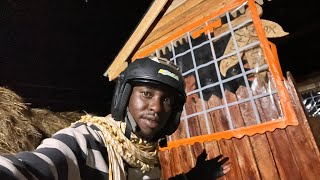 Download Lagu FINALLY TILLING JOSEE’S HOUSE. MAX CREATIVE NEW YEAR LOOK!! MP3