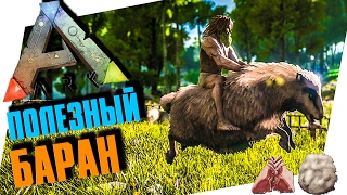 ARK: SURVIVAL EVOLVED - ОЧЕНЬ ПОЛЕЗНАЯ ОВЦА, ОВИС, ШЕРСТЬ И БАРАНИНА ARK: SURVIVAL EVOLVED - ОЧЕНЬ ПОЛЕЗНАЯ ОВЦА, ОВИС, ШЕРСТЬ И БАРАНИНА