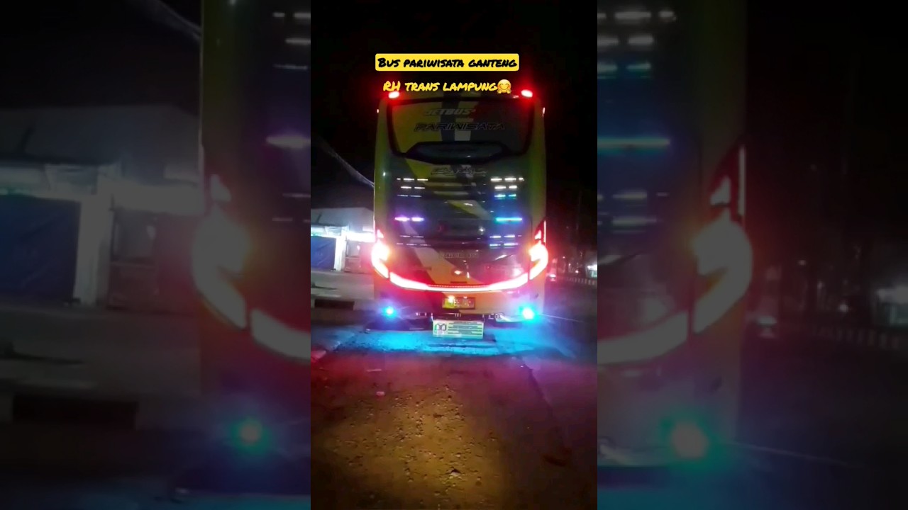 Bus Pariwisata Full Strobo: Antara Gaya, Fungsi, dan Regulasi