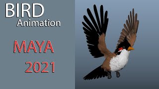 BIRD ANIMATION / MAYA / TUTORIAL