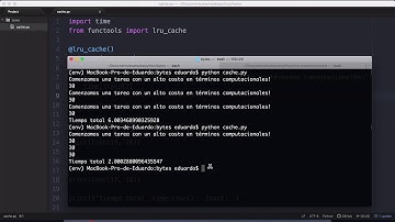 Trabajo con cache en Python