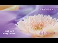 YOGA NIDRA 2 生命（いのち）のヨーガ Shinji Chiura