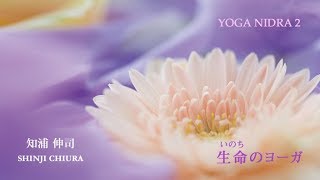 YOGA NIDRA 2 生命（いのち）のヨーガ Shinji Chiura