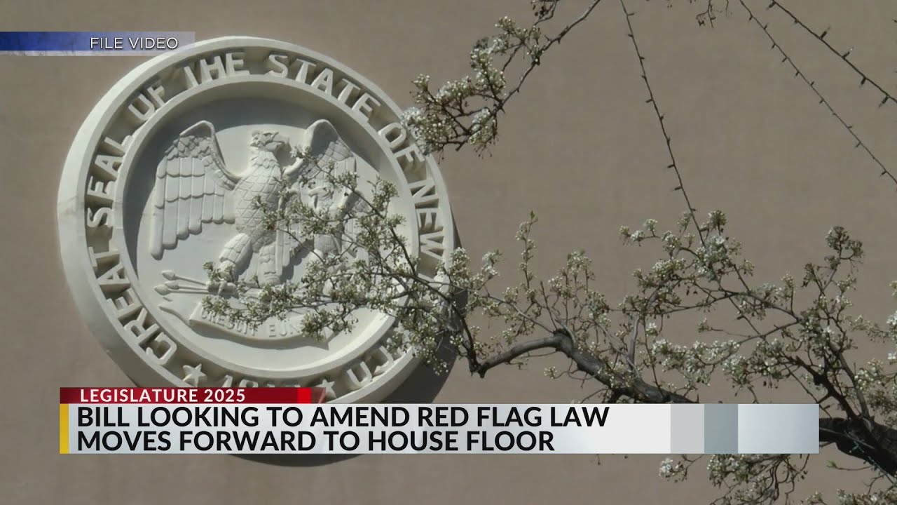 Bill looking to amend New Mexico's red flag laws moves forward - YouTube